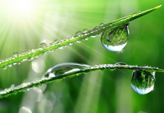 ترطيب طبيعي